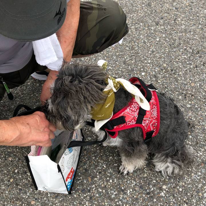 C9f3568a 3365 41e5 9ec6 e50a83637e92 1565935694463