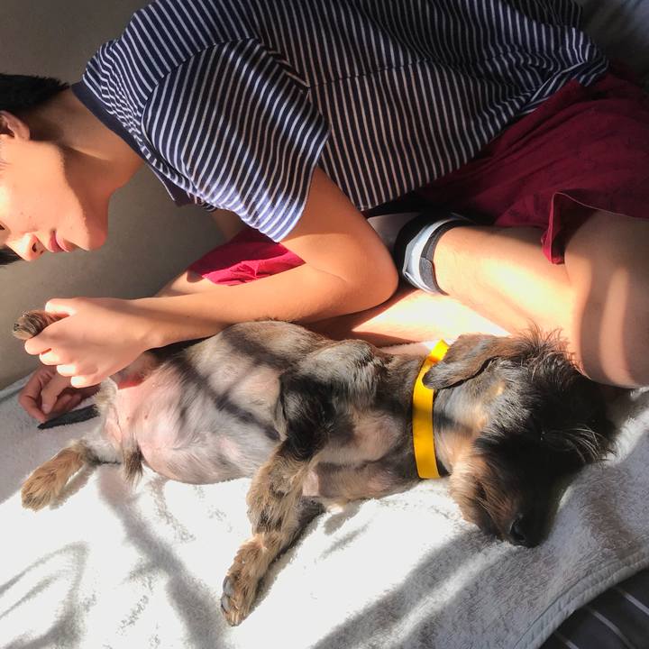 C9f382a7 b4c3 4efc b4c3 259650563f6c 1541215227010