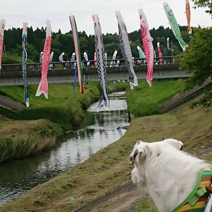 C9f386b5 d973 4258 9d6b e887d935070f 1525105227850