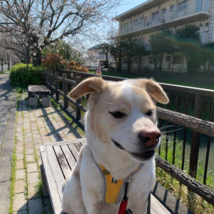 C9f3c62c ca0e 4037 b206 83bea1bacec7 1586051261913