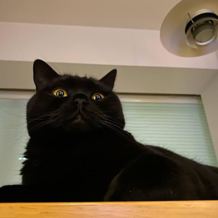 C9f3cd73 b59f 4e4e 85d7 07ecc39ddeee 1611566558895