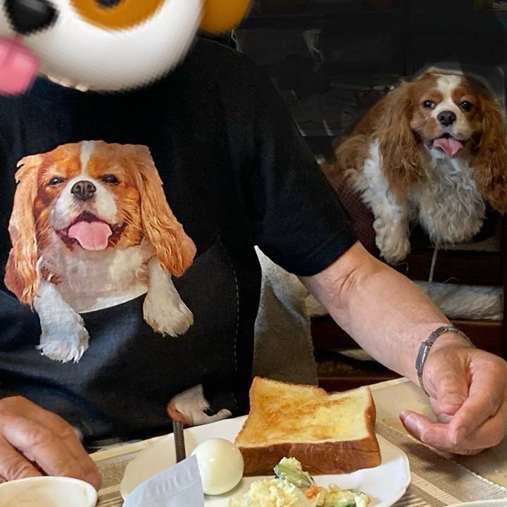 C9f40107 2e51 4784 ba20 e5d3344474a1 1718848471294