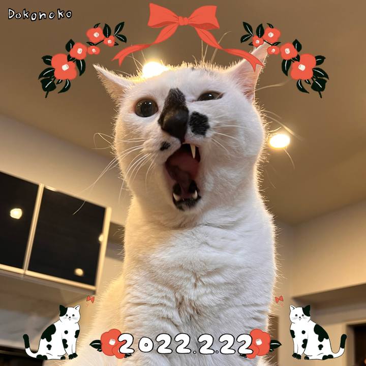 C9f40b55 8706 49d4 aafe 37269498e704 1645495938577