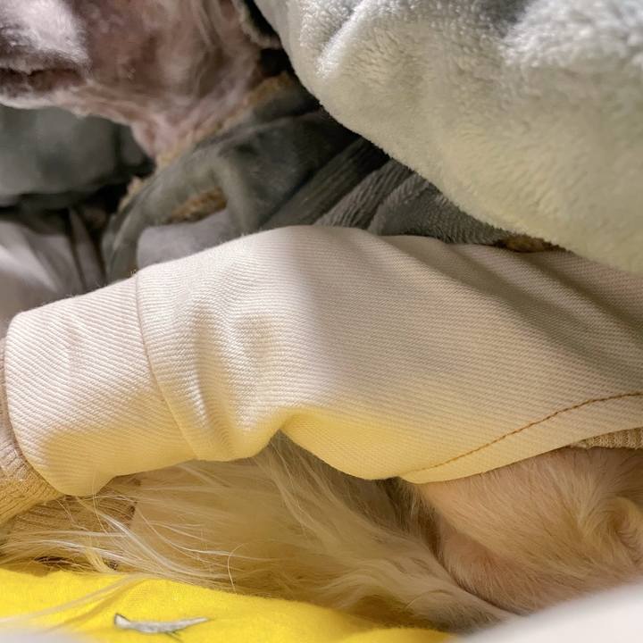 C9f41884 6007 49c0 9342 044aa26d0eb5 1768270269522