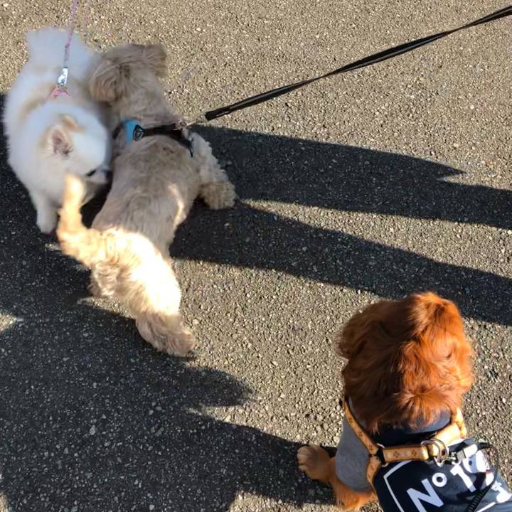 C9f454b6 38e1 4459 8c9a 6625356334b6 1645836211809