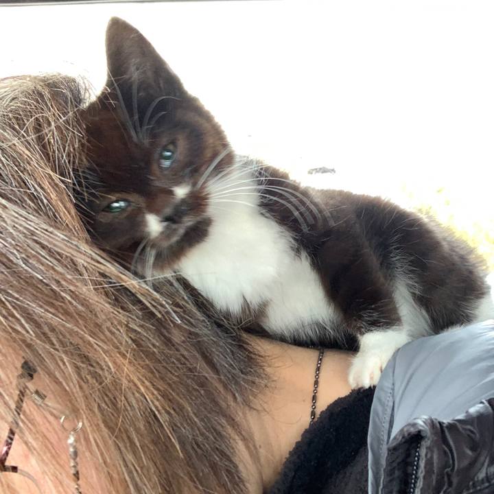 C9f456e5 23d1 42b7 81f6 c659cc2ff761 1577537605026