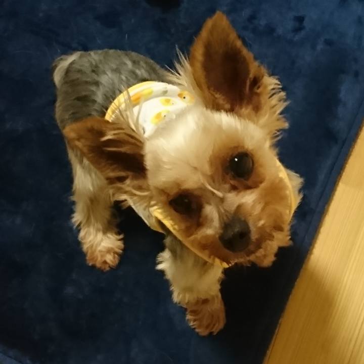 C9f45b46 be12 4ac1 a7de 8f9cb29ba41d 1530099189104