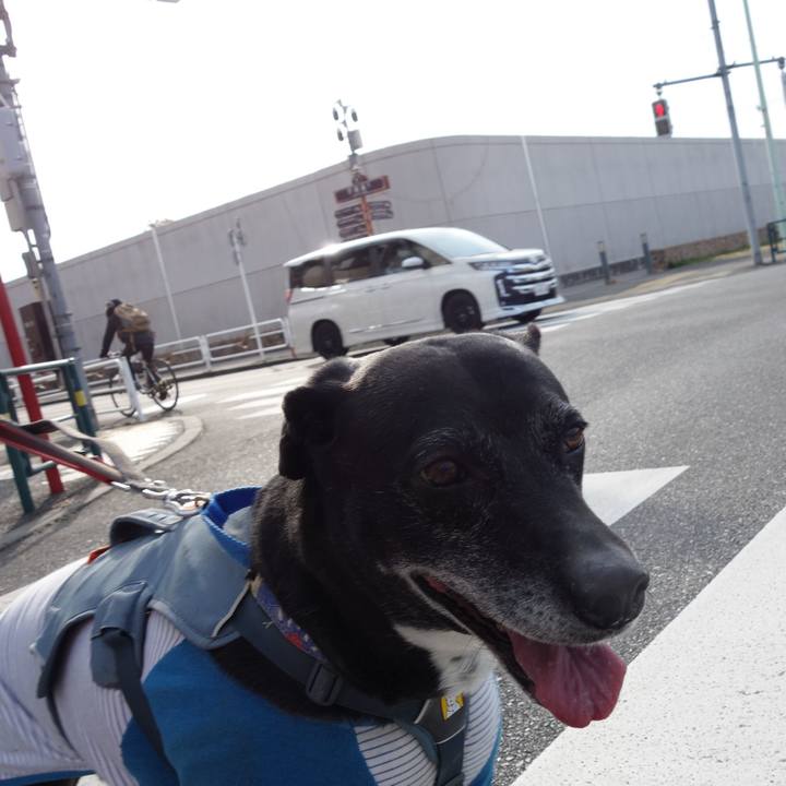 C9f4605d 90fb 43e9 b791 0ef2f764fe32 1742000395204