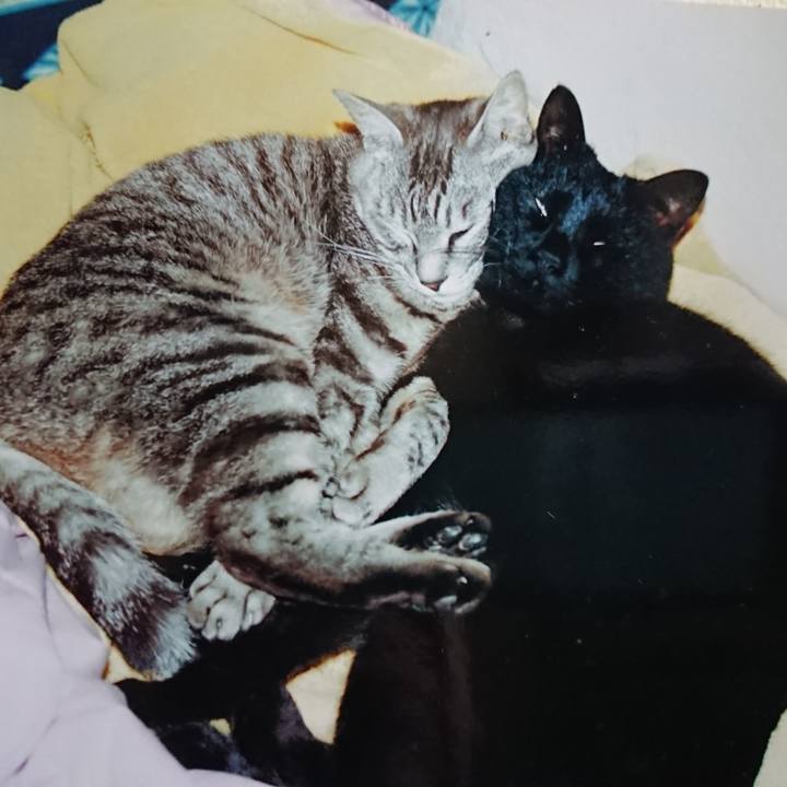 C9f4673b 034a 42cf 9e1b 5f50a56edc1b 1600375073704