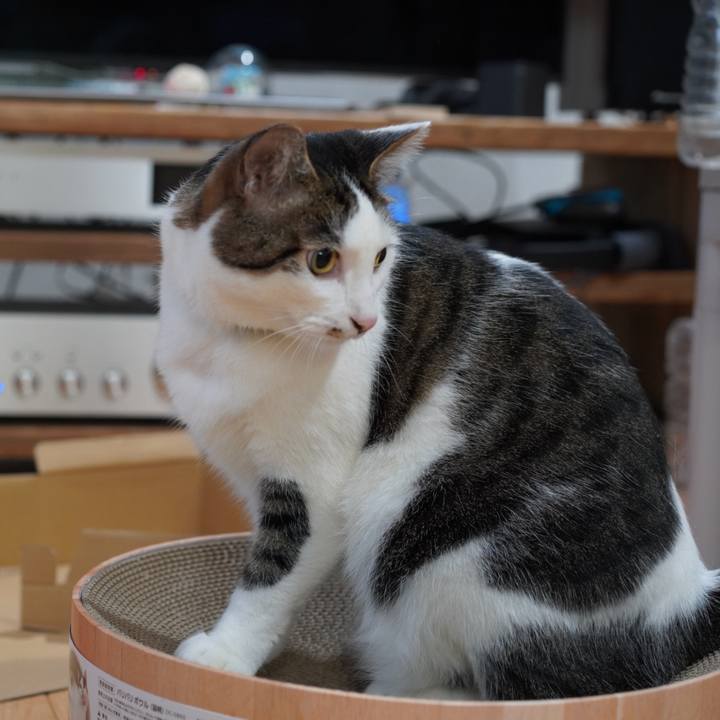 C9f482be f6c9 434e b636 384871ba1586 1623765341363