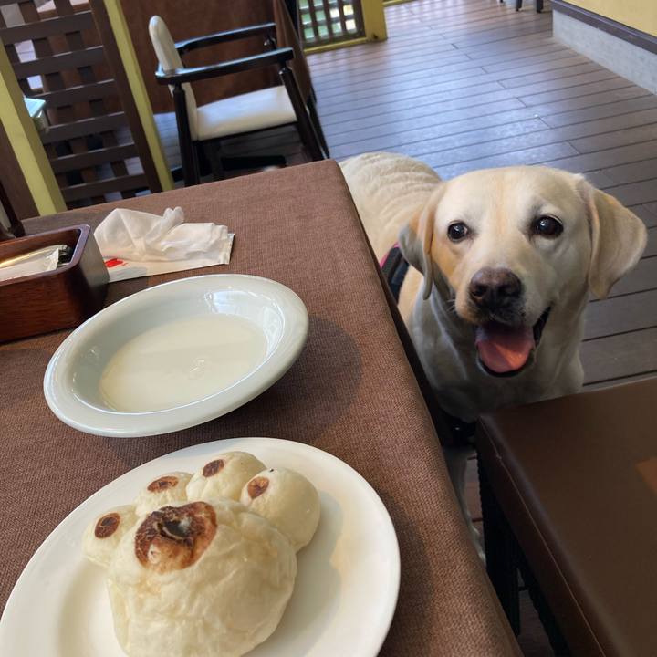 C9f4a8b7 3c92 4163 a4e2 67e0ce0c05ad 1725246227809