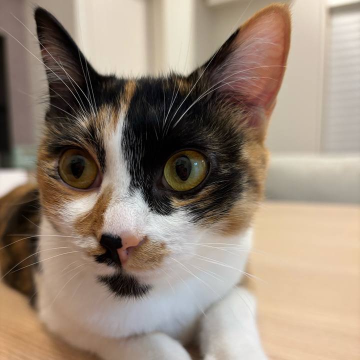 C9f4c97e feaa 475d a9b7 15bb873d5720 1772029547437