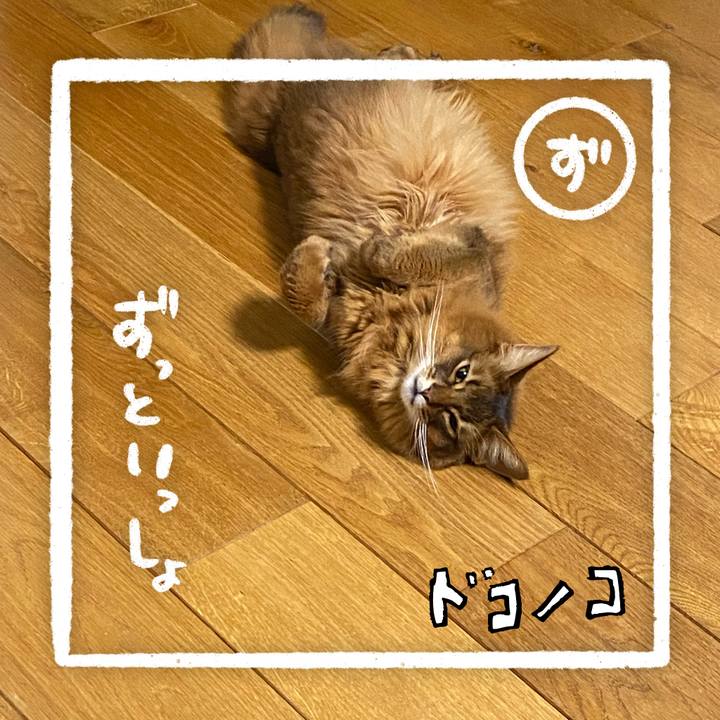 C9f4d9fd 260d 4a00 8621 5b288123adc5 1685936205054