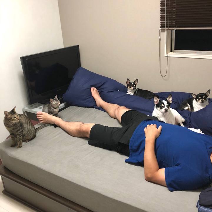 C9f4fae0 f376 4ceb 8b1f 163bb6a94a18 1534518118394