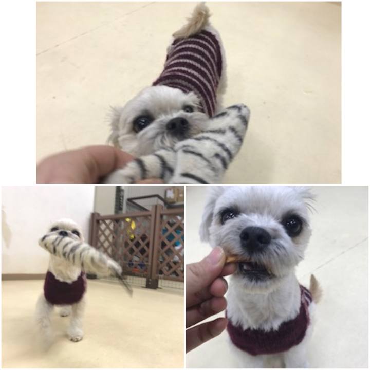 C9f5901d 4b6d 496f 8ce6 126ad829a1d3 1518176838656