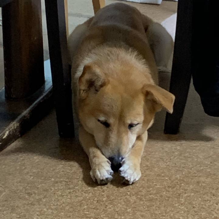 C9f5a498 6c33 4c30 b15f 2e18016105cf 1586094865895