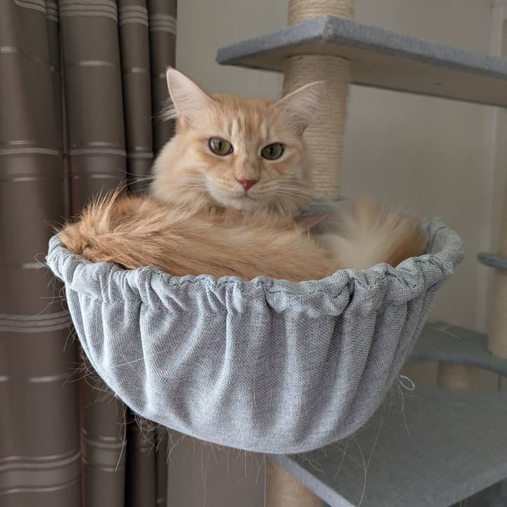 C9f5b64d a3df 454e 9abe 3663b1f03461 1733809909694