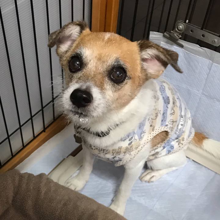 C9f5ba47 be48 406f b078 b5352191283c 1569968128773