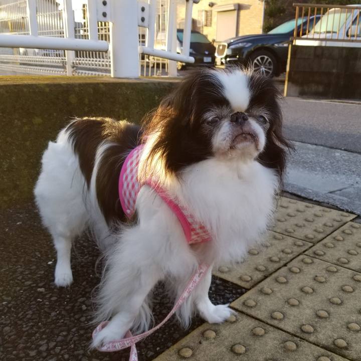 C9f5d491 7d57 4d75 9efe c9f44eea282c 1538090150721