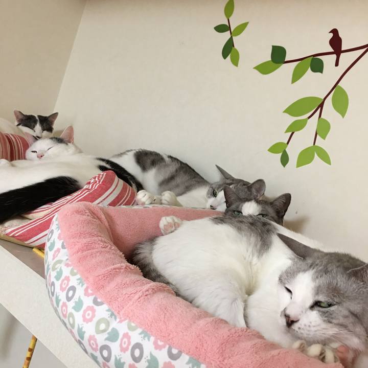 C9f5df8b abb8 461d 89dc b0b0fee62936 1509772537260