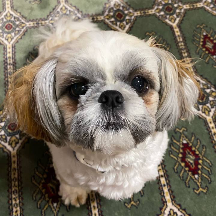 C9f5f3bb 3899 4e48 bdf8 2d41e843f1da 1655255014367