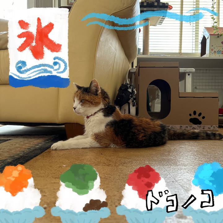 C9f5fec7 7941 44b2 8512 7128f19e07b4 1723247351084