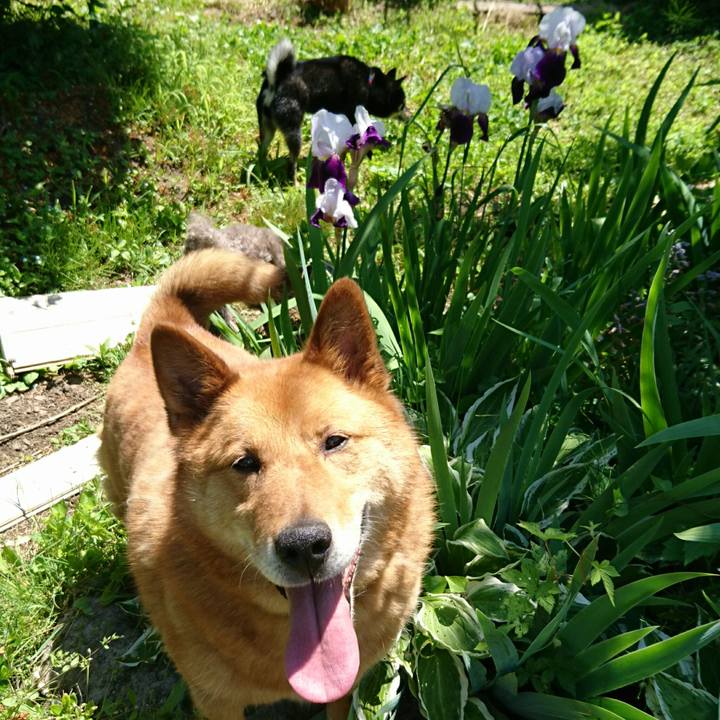 C9f63649 a230 478a 9b83 82298da2f4ca 1527990351494