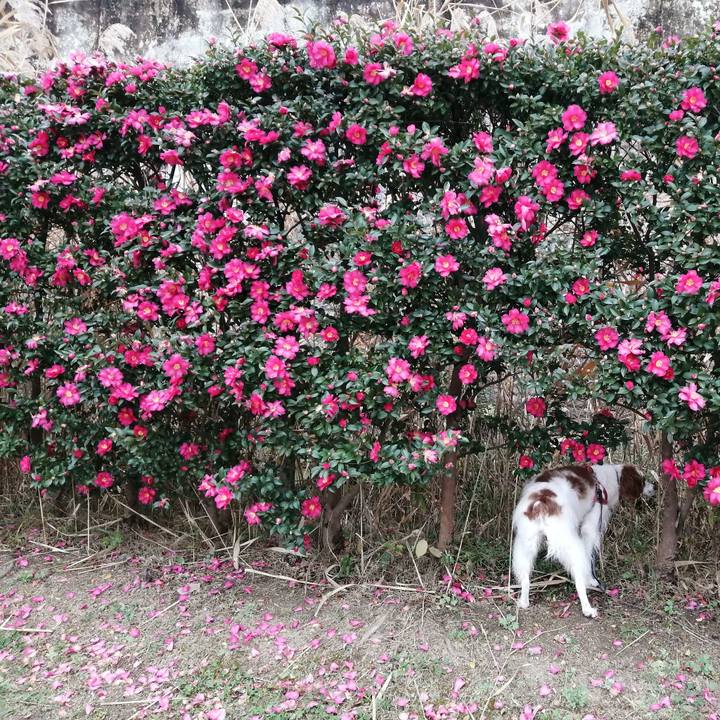 C9f65655 9a1e 4e71 b234 170edd377364 1577360166495