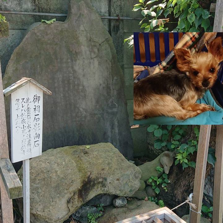 C9f67f62 3b5b 44ab b4f1 a7b164a1eb36 1564732107966