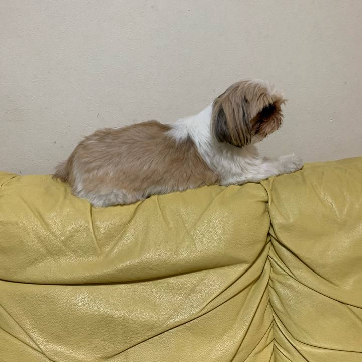 C9f6aa50 9a10 4d31 94e7 047347875be5 1604313595019