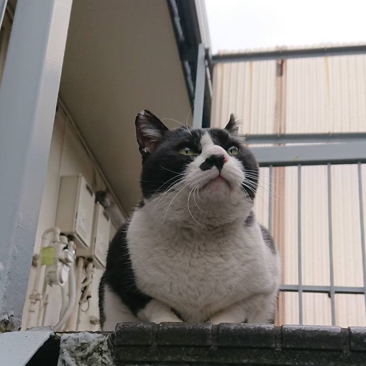 C9f6ce02 9d1d 4d37 88f4 396f6c00fab7 1549865801953