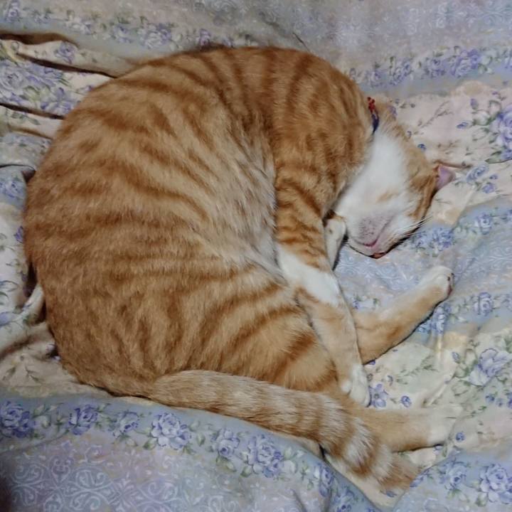 C9f6e5e2 dc50 456a bbcb 303203134193 1563798338824