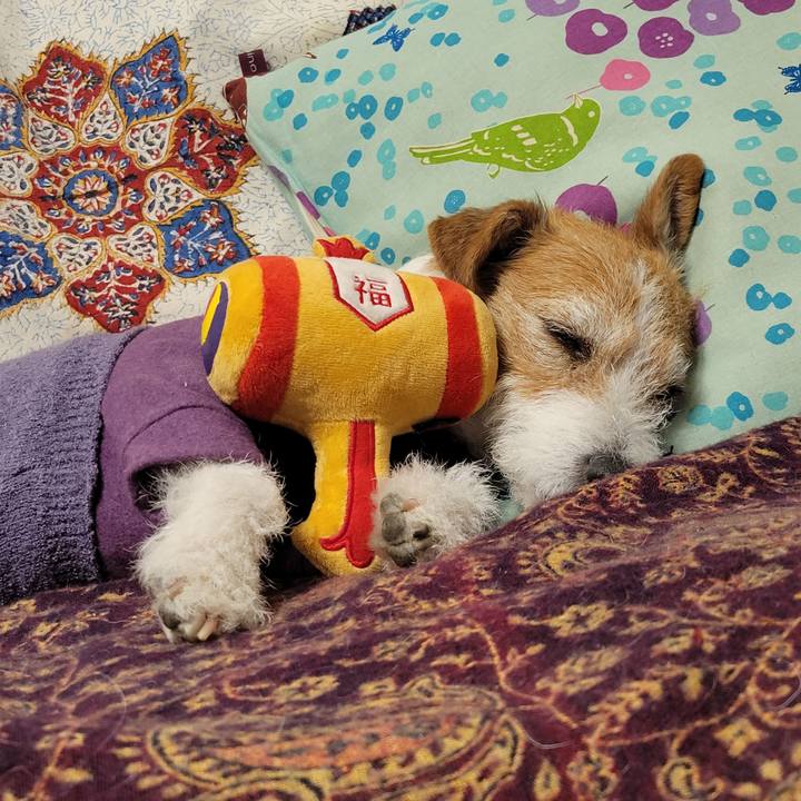 C9f6f2dd 9cfa 49a9 89c2 7ed7602c6d38 1738492349896