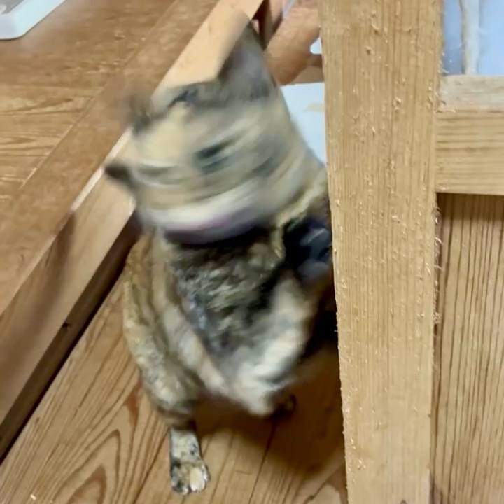 C9f7136b a3ff 432a 8501 0401b930f1b2 1768791755046