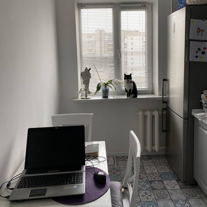 C9f71a4c f9ee 480f 8a19 a9ed143a748d 1616676065931