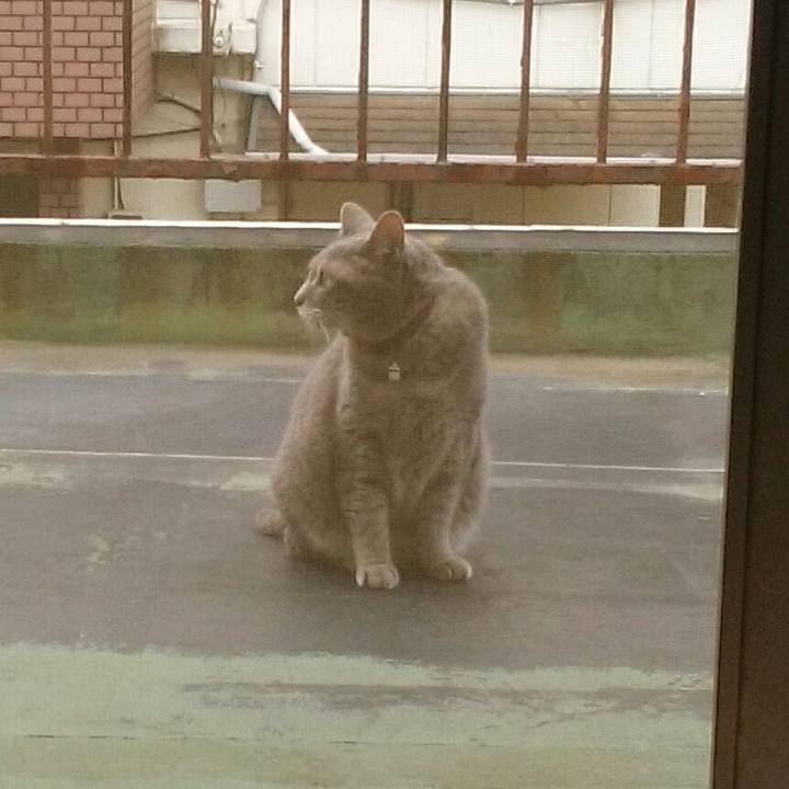 C9f72c0e 644b 4c84 82b8 1c13108a1664 1563167971697