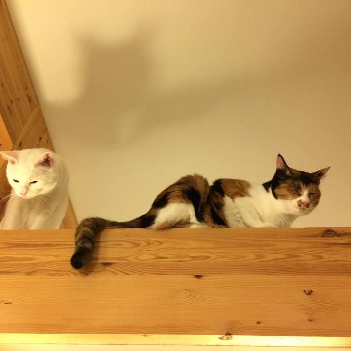 C9f7486d deb6 42d0 9bec 2e2edd889e2f 1507815374298