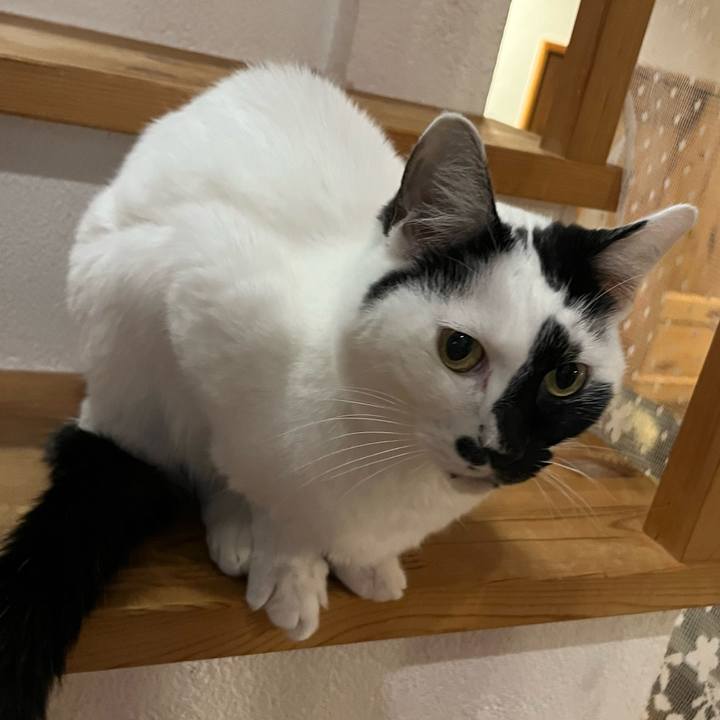 C9f74c6a cf80 4aaa 8da2 95c88d4cb61d 1762844895270