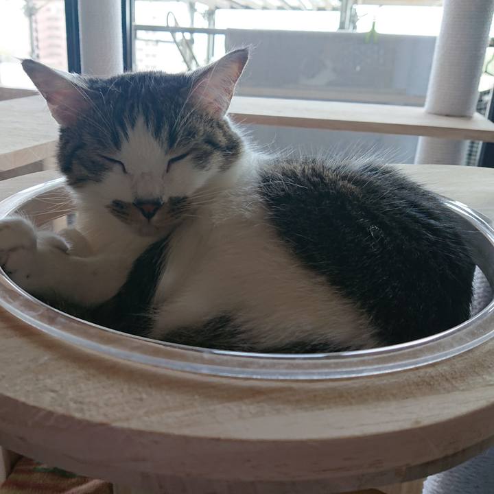 C9f75f8e a8df 48b6 8109 840d2fcfbf65 1661653111503