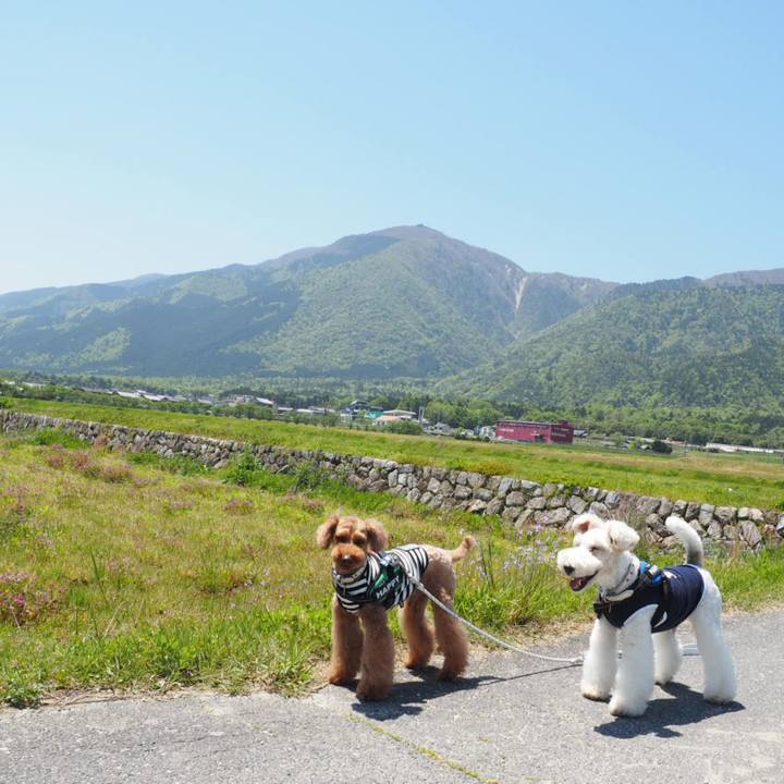 C9f77e1f 7cec 4fe8 807b e2315d51a279 1556949139406