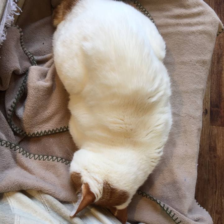 C9f789ed 5d88 4fd5 b183 ab92fec5ffcb 1582076991743