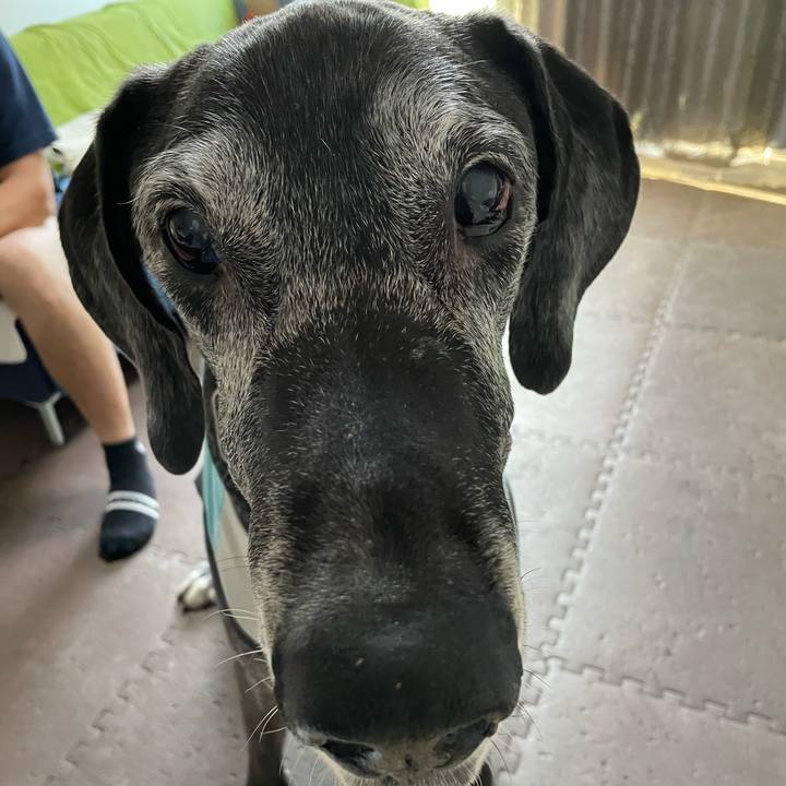 C9f79758 0823 40a0 92ff 5bb752e92776 1657496209814