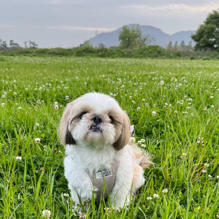 C9f7a857 6e9d 4f9b be9d cb2e995e46e0 1714049056968