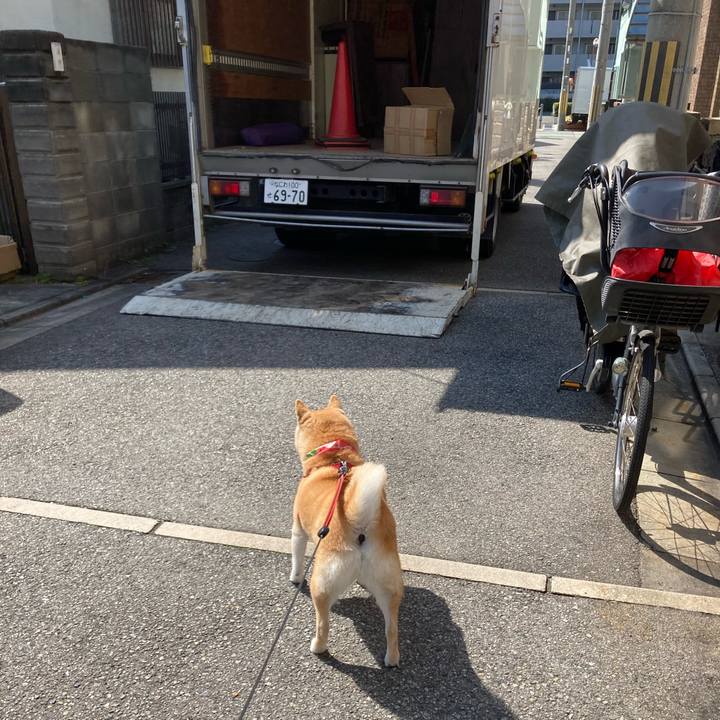 C9f7f440 d9d2 4ae7 b646 3b6d94cb37d8 1616487253203