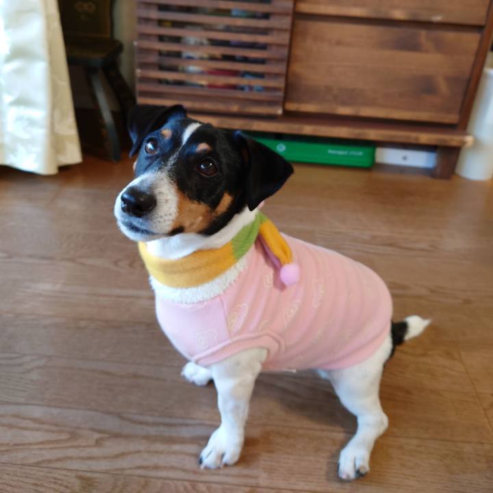 C9f8038f c58a 4611 97a8 f81aefcaa0fa 1643708493184