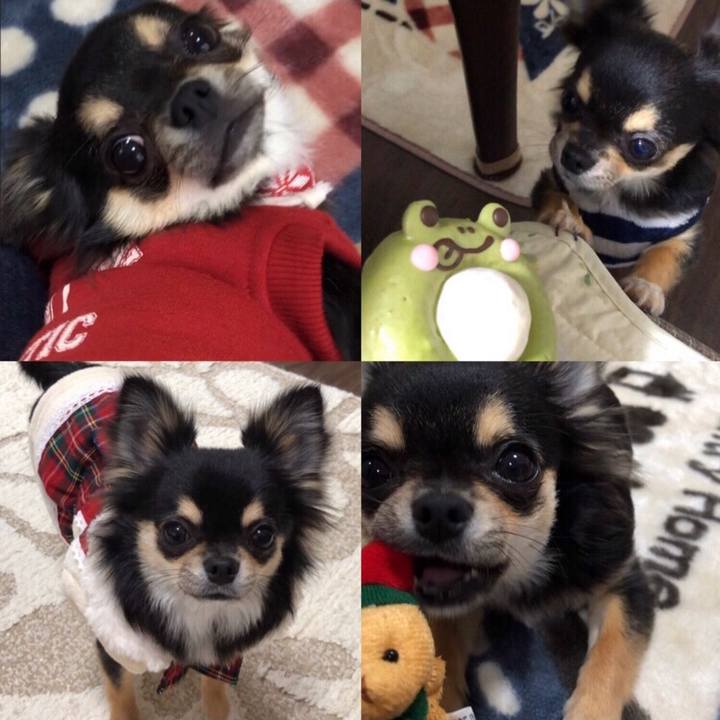 C9f830d4 21b8 4db5 aa59 07e0e738975c 1571211858055