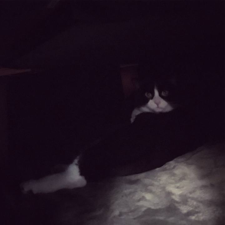 C9f8730c 1197 4462 9380 8080614651c2 1588167247841