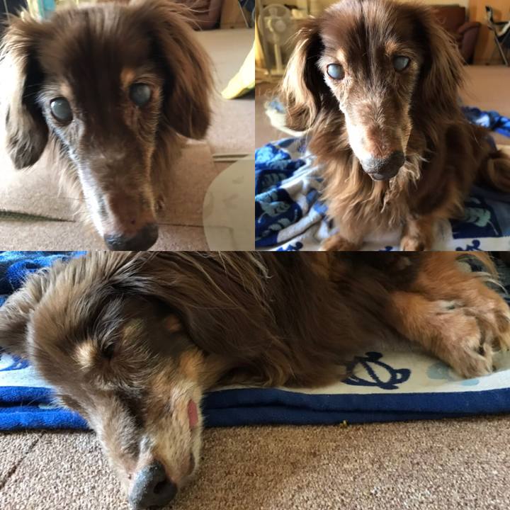 C9f88580 a222 4572 a2c2 9e6e83e4c848 1569219958291