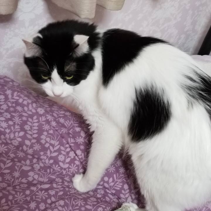 C9f8cf1d 1fe8 4e77 b323 13148e2729e1 1543241590398