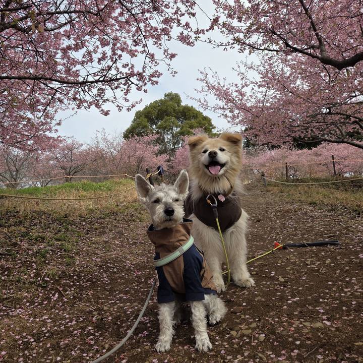 C9f8d3a2 f4d0 43b8 8847 222399c40e72 1772202947893